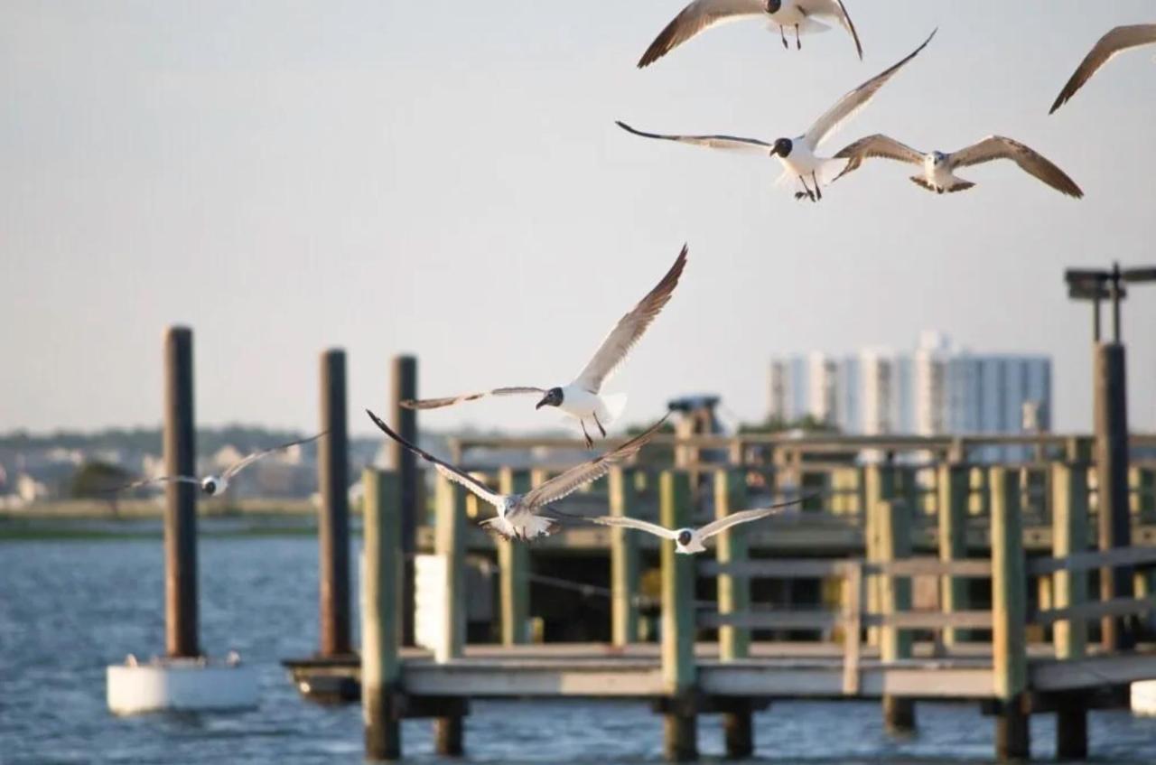 Appartamento Water Street Retreat 14 Wilmington Esterno foto